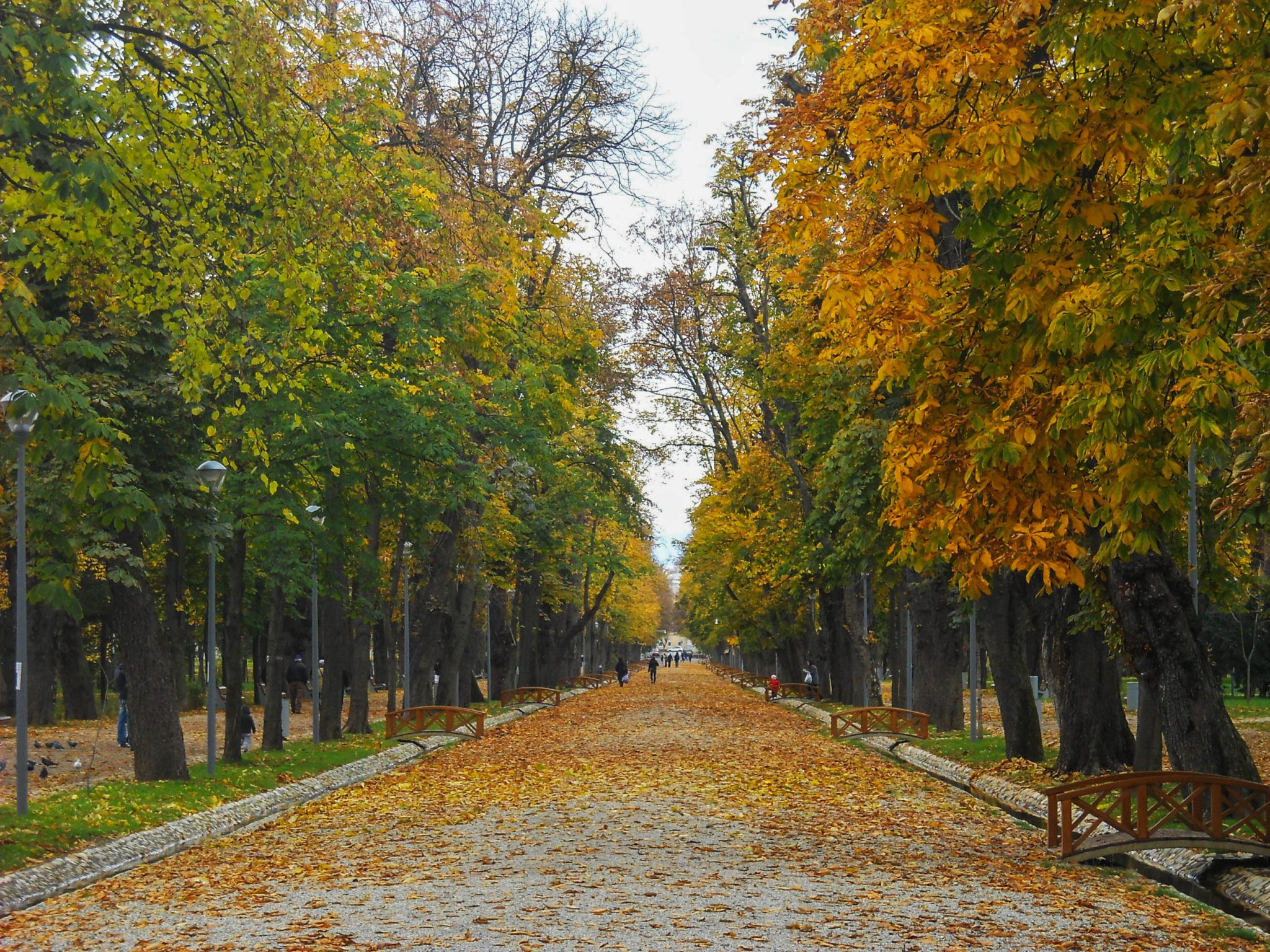 Main alley through the park - A complete travel guide to Cluj-Napoca