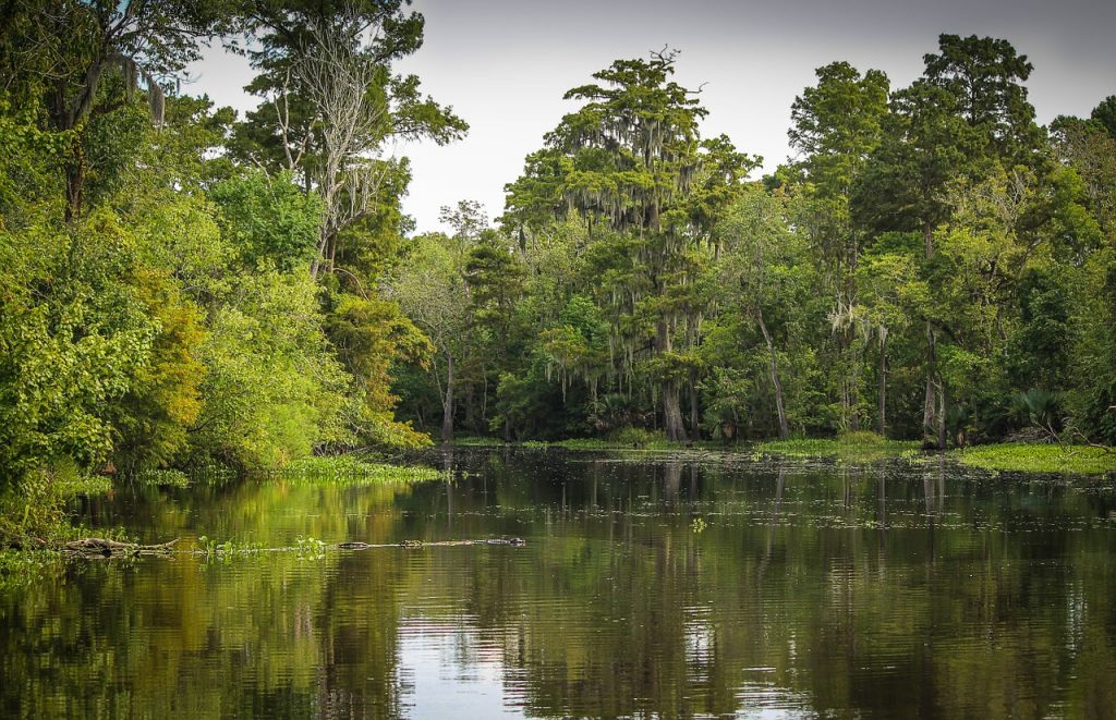 Top Attractions in New Orleans Beyond Bourbon Street - Earth's ...