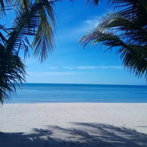 A local's guide to Koh Samui, Thailand - Earth's Attractions - travel ...