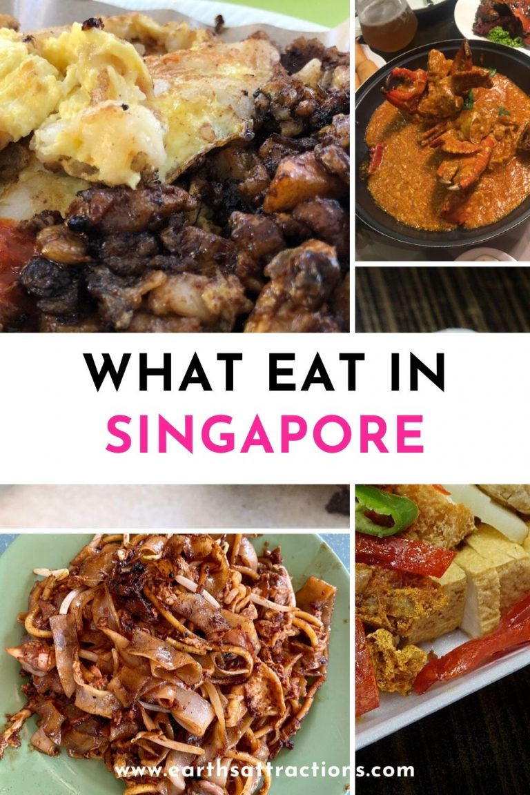 Food in Singapore: 8 tasty Singaporean dishes to try - Earth's ...