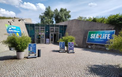 Sea Life Munich: The Ultimate Guide to Bavaria’s Underwater World