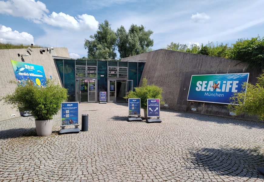 Sea Life Munich: The Ultimate Guide to Bavaria’s Underwater World